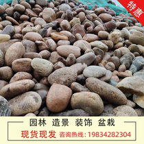 Shandong villa large cobblestone courtyard decoration oversized stone river beach stone garden decoration stone border ornaments