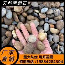 Yunnan cobblestone raw stone courtyard park paving and landscaping project substation filter river pebbles