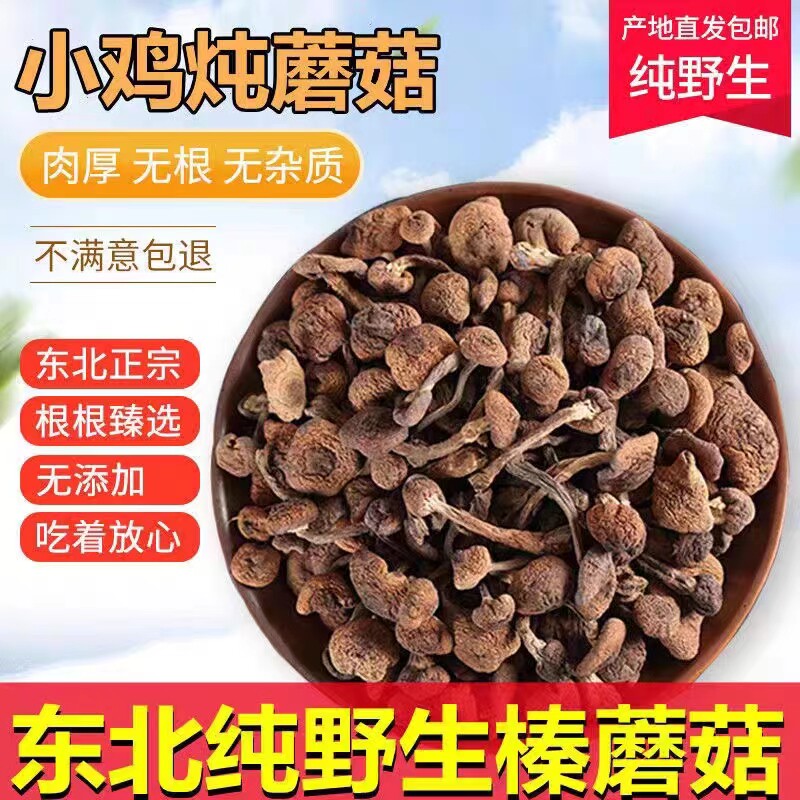 Hazelnut dry goods 500g Northeast wild mushrooms Special level hazelnut dry goods Mountain stock Chicken Stew Mushrooms 9-Taobao