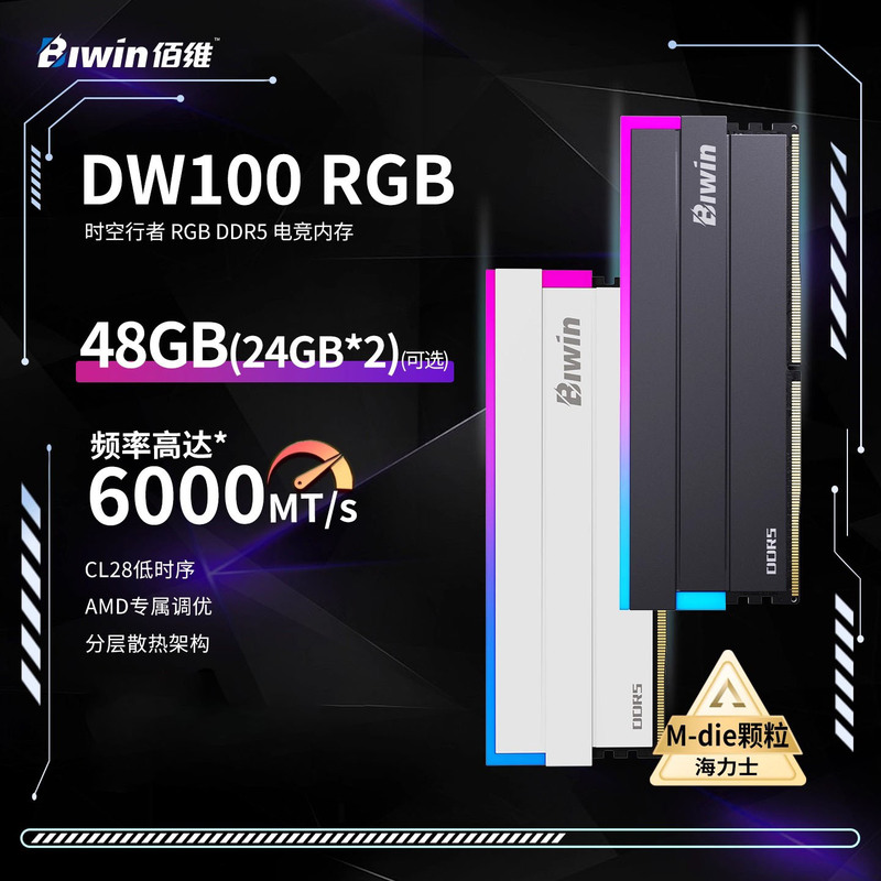 Baivision Dw100 48Gb 24Gx2 96Gb 6000/C28 Desktop Computer Memory Stick Ddr5 48Gx2