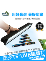 Giangarden Reptile UVB Lamp HO T5 Light Bar Stand Long Light Tube Maned Lion Lizard Calcium Supplement Lampshade Set
