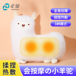 [필수 생일 선물] 봉제 인형 마사지 베개