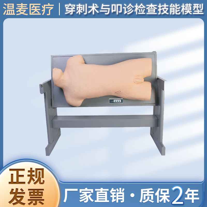 综合穿刺术与叩诊胸腔背部穿刺腰椎穿刺训练模型骨髓穿刺模拟人