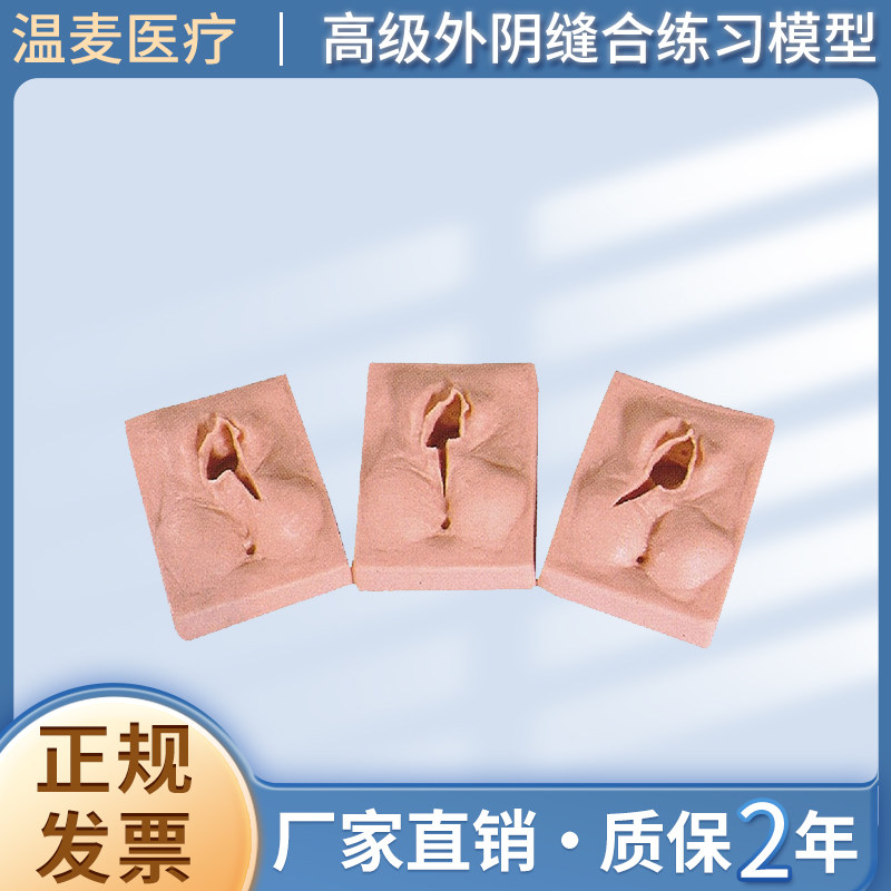 MAR/H高级外阴缝合练习模型教学模拟人缝合操作练习模型可反复用