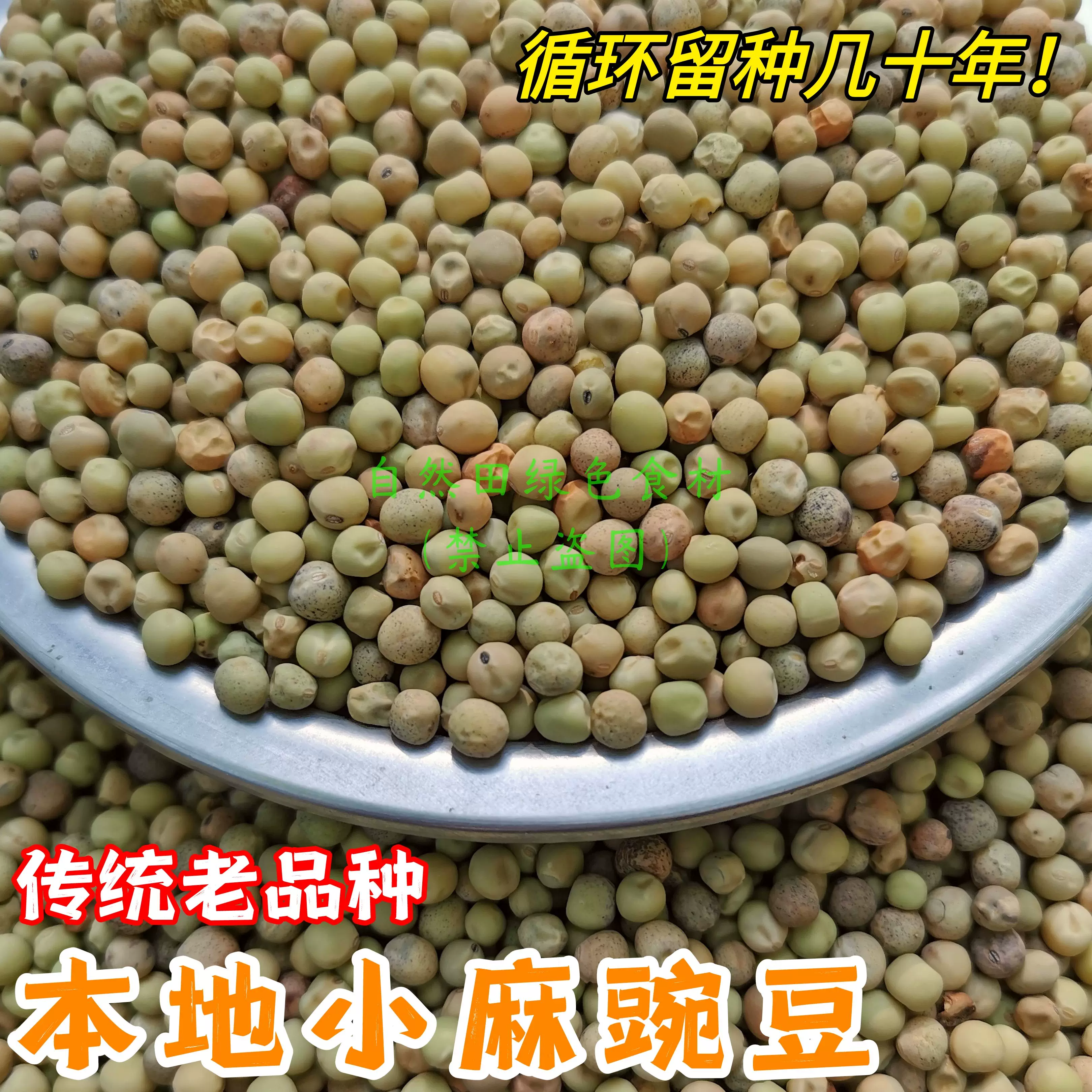 Сычуаньские старые сорта гороха Xiaoma, ферма, сохранённые старые сорта, местная почва, горох старомодный, не перенесённые бобы ростки