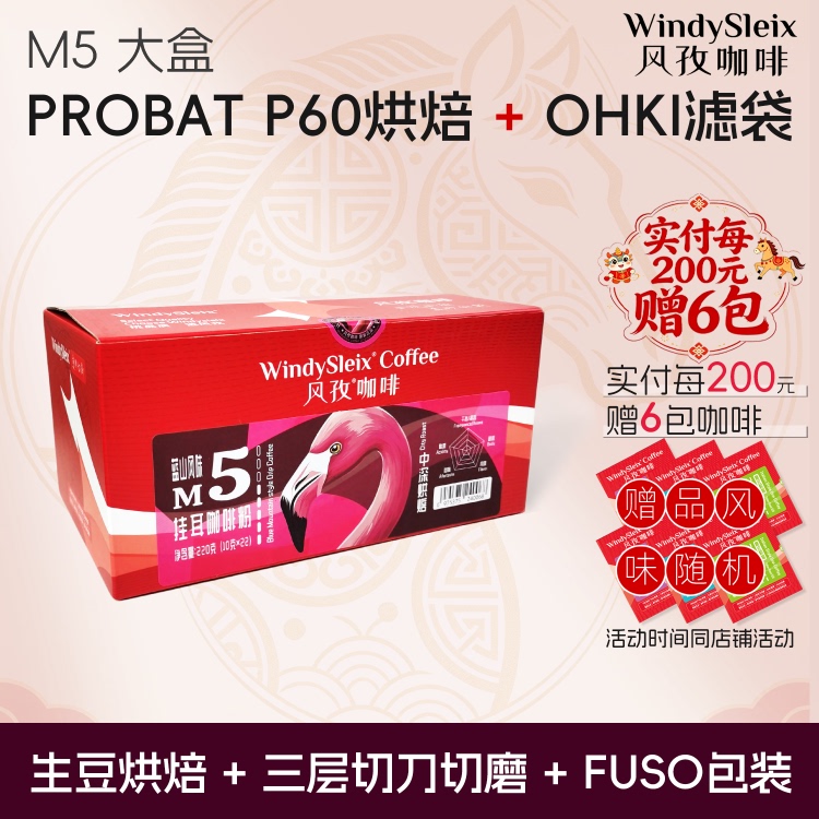 Fengzi Coffee M5 Medium Dark Roast, Smooth and Sweet Aftertaste, Large Box of Drip Coffee (10g×22)