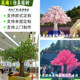 Simulated Fiberglass Banyan Tree Large Indoor Decoration Covering Pillars, Maple Tree, Cement Tree, Peach Blossom Tree, Cherry Blossom Tree, Large Ancient Tree Landscaping