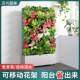 Balcony Automatic Watering Plant Wall Flower Rack Outdoor Courtyard Multi-Layer Mobile Vegetable Planting Rack Green Plant Wall Flower Rack