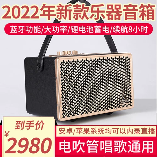 Magic Three Magic 3V5 Новая K Song Family, поет AK5000 Hair Tipe Diper Dooling Douyin Quick Internal Record Live Dinger