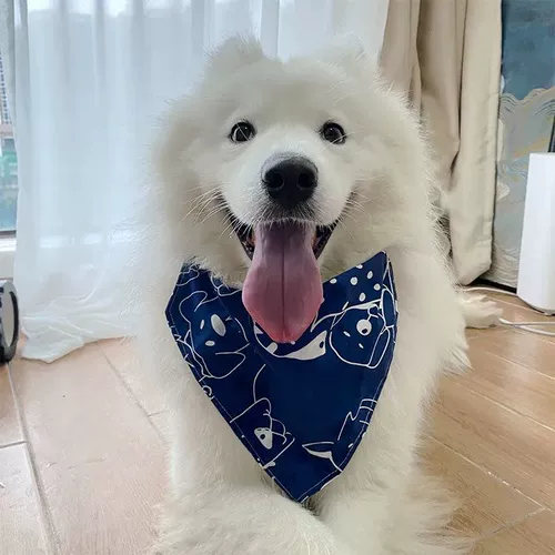 Треугольный треугольный Shiba Inu Corgi Water Scarf Scarf Scarf Scarf Sharf Dogled Dog Sharf