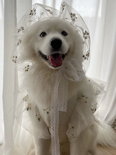 Летнее зимнее тонкое свадебное платье, костюм, подходит для подростков