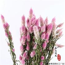 Dry flower multi-head anchovetail dry flower bouquet full of stars Dont forget my lover Grass Dried Flowers Home Decoration Flower Arrangement