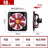 10 -INCH SINGENTENTION HIGHEND [SONSTER CORTEDENTED] Подарочный пакет