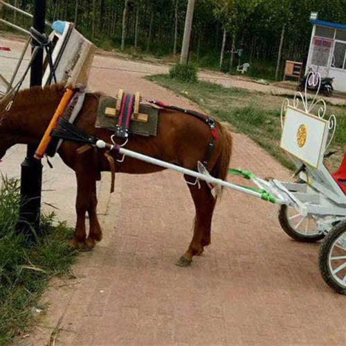 Old fashioned with splint Horse cover Tourist Wagons Horse cover Carriage Accessories Old Trojan Horse Laster-Taobao