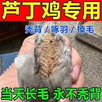 Специально для лысой задницы] Циренная куриная анти -фар -закуски против.