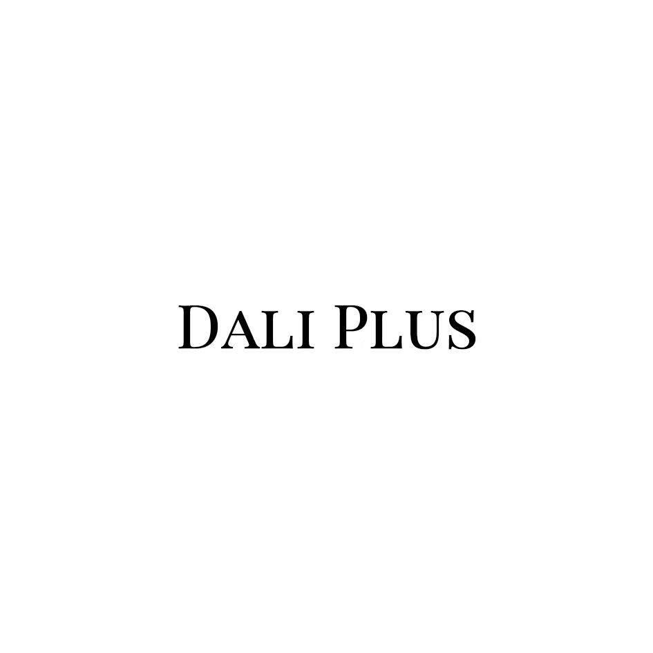 大李 plus企业店