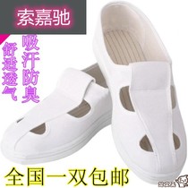 Anti-static shoes work shoes dust-free four eyes male soft soles small white shoe factory blue men and women