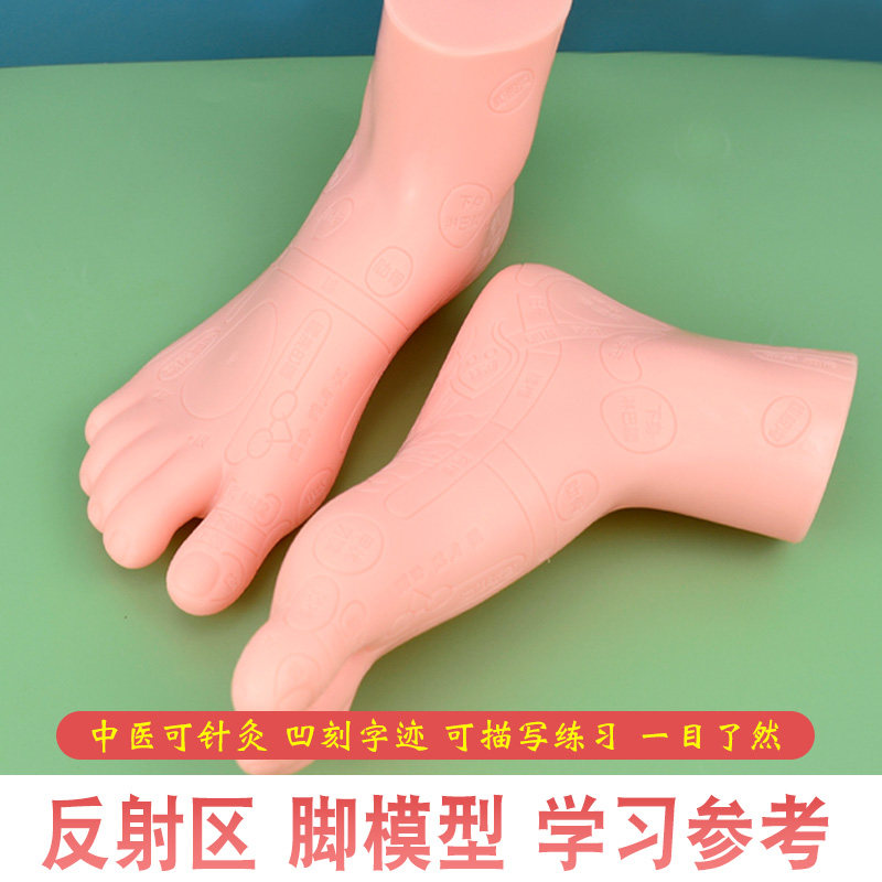 足底反射区穴位模型足疗按摩器保健养生经络穴位图高清晰教学中医