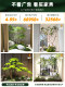 Artificial Horsewood Landscaping Plants for Decorating under Stairs, Faux Trees for Indoor Landscapes, and Biomimetic Green Plant Landscaping Combinations
