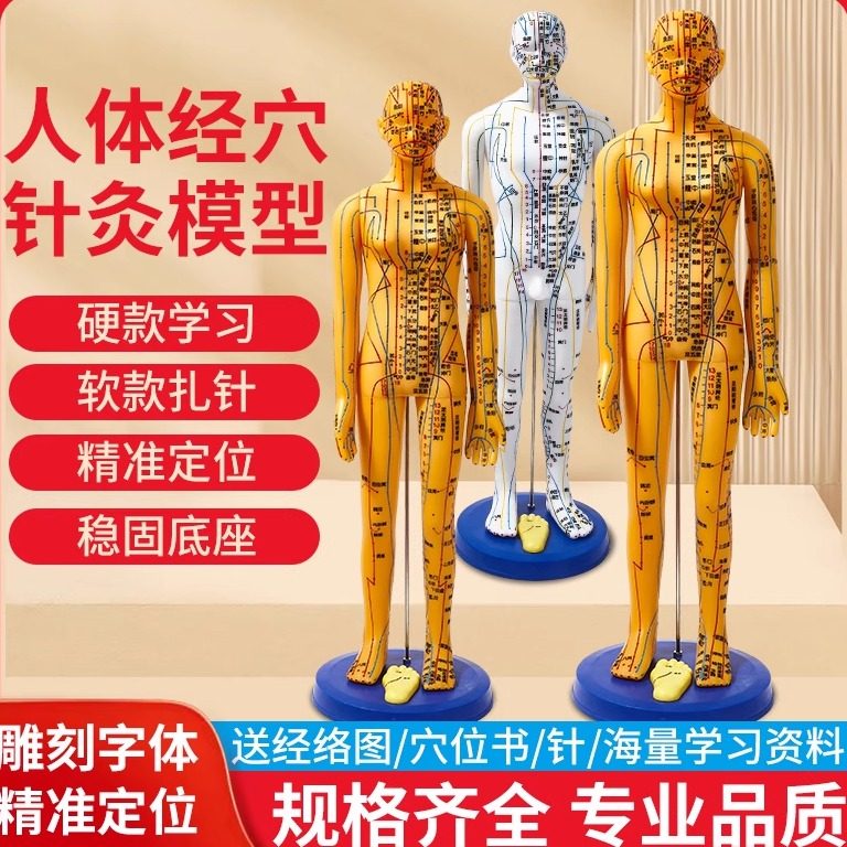 针灸模型人体针灸小皮人中医按摩全身十二经络穴位可扎针铜人家用