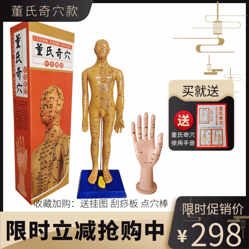 董氏奇穴针灸教学模型 十二经络人体小铜人 中医培训教具