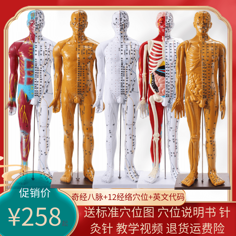 85cm中医针灸人体穴位模型教学全身家用十二经络图教具解剖小铜人