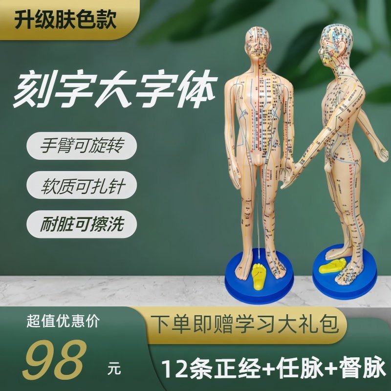 人体穴位模型中医针灸人体模型全身12经络穴位图可扎针男女小皮人