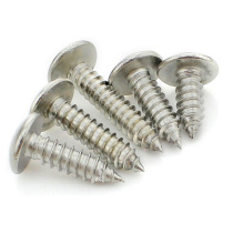 Cross stainless steel m5 flat head O authentic white cap self-tapping screws bulk round head large screws m4 large