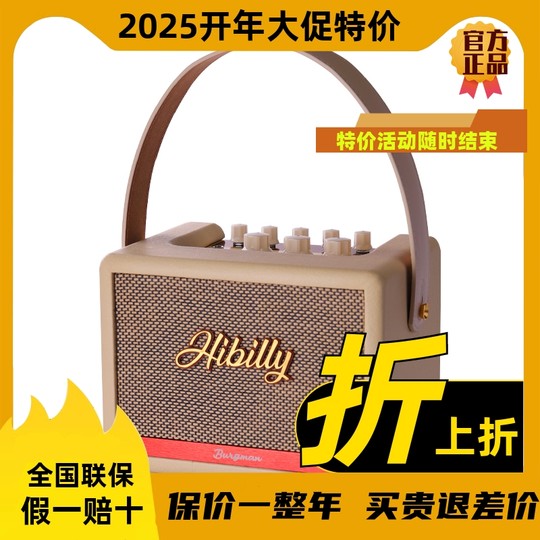 Hibilly Burgman Full-Range Transistor Electric Guitar Amplifier Effector Speaker