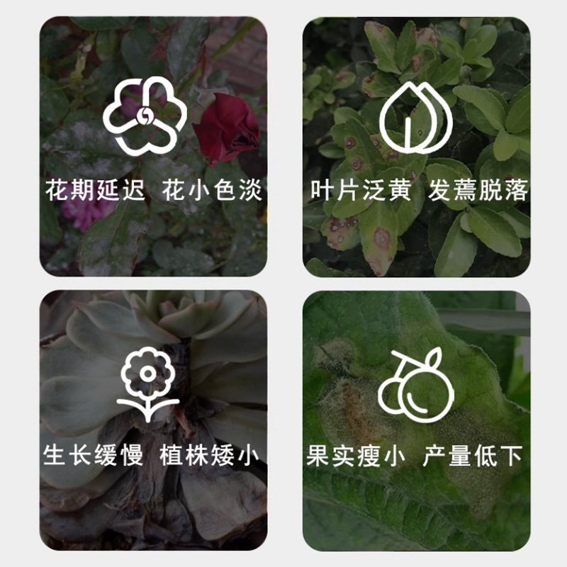 原色花卉病害虫百科 7 古力多多菌灵，花卉病害克星？🌿全面测评与使用攻略-花卉药剂