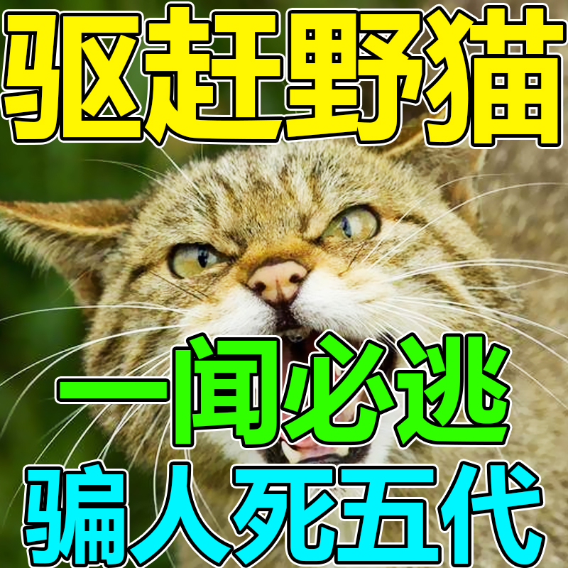 Exorcism Divine Instrumental Medicinal Powder Kills Stray Cat Wild Cat Dead Anti-Killing Powerful Long-term Exorcism of Cat Rain Water Gram's Long Term-Taobao