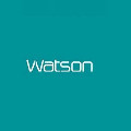 Watson 线上护理店