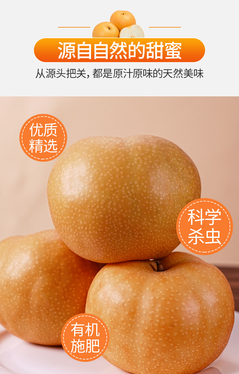 宏辉果蔬 山东特产莱阳南水梨 净重4.5斤（单果250克以上）天猫优惠券折后￥19.9包邮