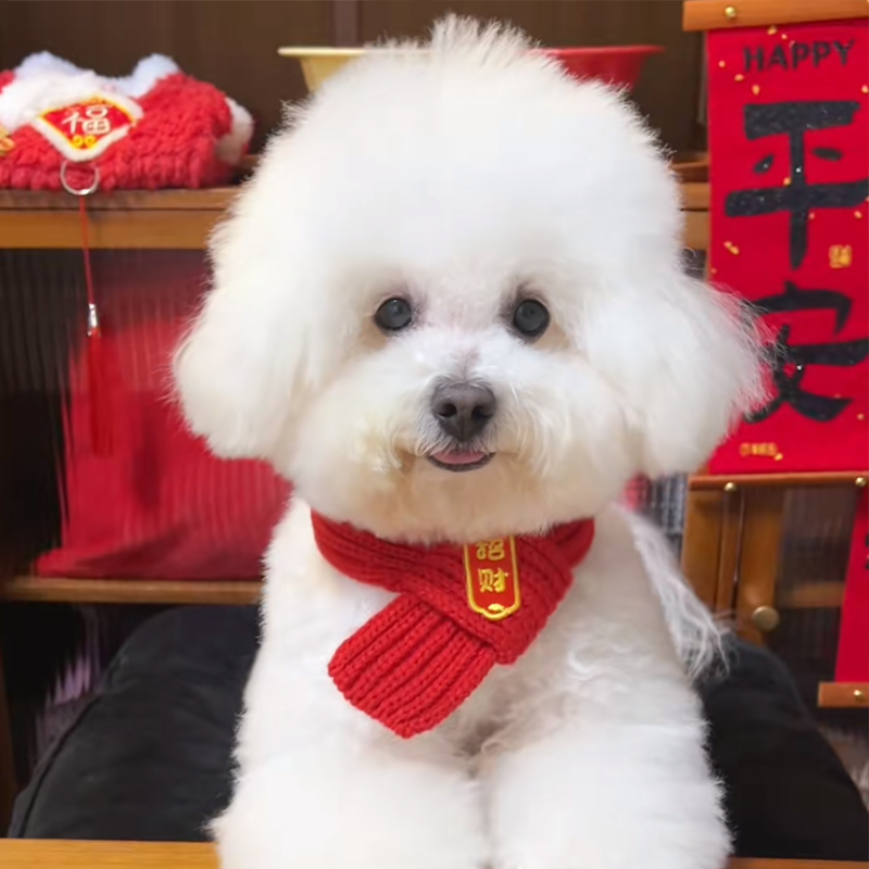 宠物围巾狗狗喜庆编织猫咪围脖装饰新年红色毛线口水巾过年福字