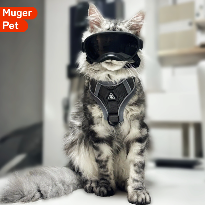 猫咪牵引绳遛猫背心式可调节背带缅因猫防挣脱不勒脖小猫外出胸背
