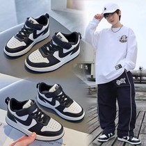 Outlet 2024 new models from 3 years old to 12 years old instant discounts and good prices carefully selected and recommended top products pet shoes-8