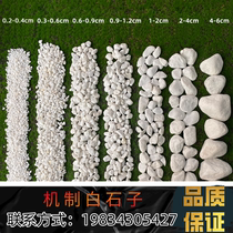 Anhui white stones large pebbles courtyard paving small white stones garden landscaping white stones