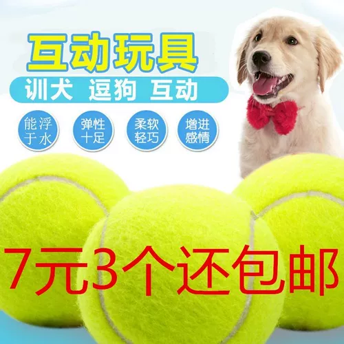 ДОБАВИЧИКА ИГРЫЙ СОБАКИ С щенками щенками на открытом воздухе Большие собаки и подкова собака Молярная эластичная домашняя собака тренировочная собака.