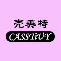 CASSTIUY甄选店的LOGO