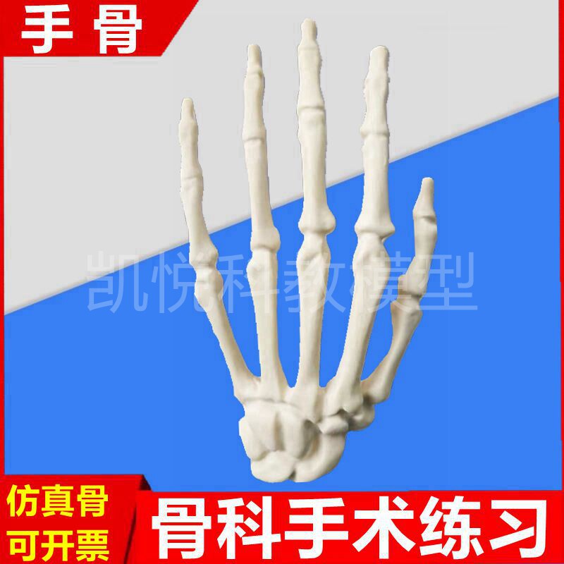 仿真手骨模型模拟手术练习假骨头截骨四肢骨髓钢板固定实训髓内钉