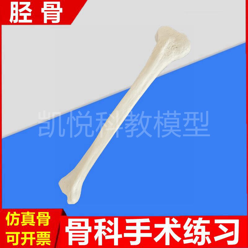 胫骨模型截骨练习骨科手术打孔髓内钉固定医生操作考试皮质松质骨