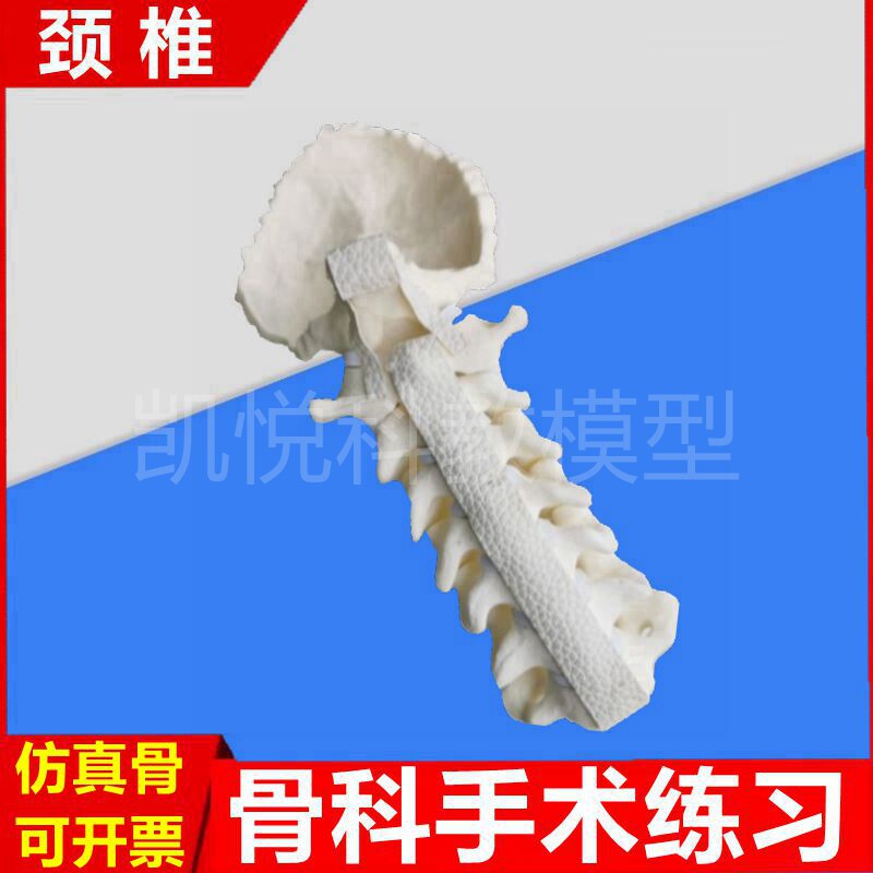 颈椎模型骨科手术椎弓根螺钉模拟植入后路钉棒系统模拟人体假骨头