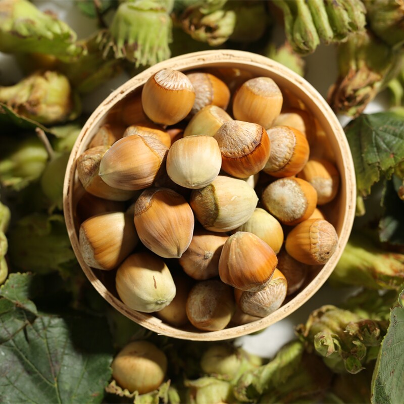 Fresh large hazelnut Northeast with leather Shuiren pulp with green leather New cargo wild nuts raw hazelnut-Taobao