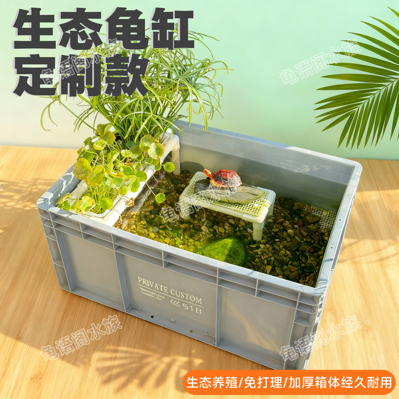No-Maintenance Ecological Turtle Tank for Raising Turtles and Fish, Ecological Landscaping Environment, Volcanic Stone Turtle Tank, Complete Set for Raising Brazilian Turtles No-Maintenance Ecological Turtle Tank for Raising Turtles and Fish, Ecological Landscaping Environment, Volcanic Stone Turtle Tank, Complete Set for Raising Brazilian Turtles