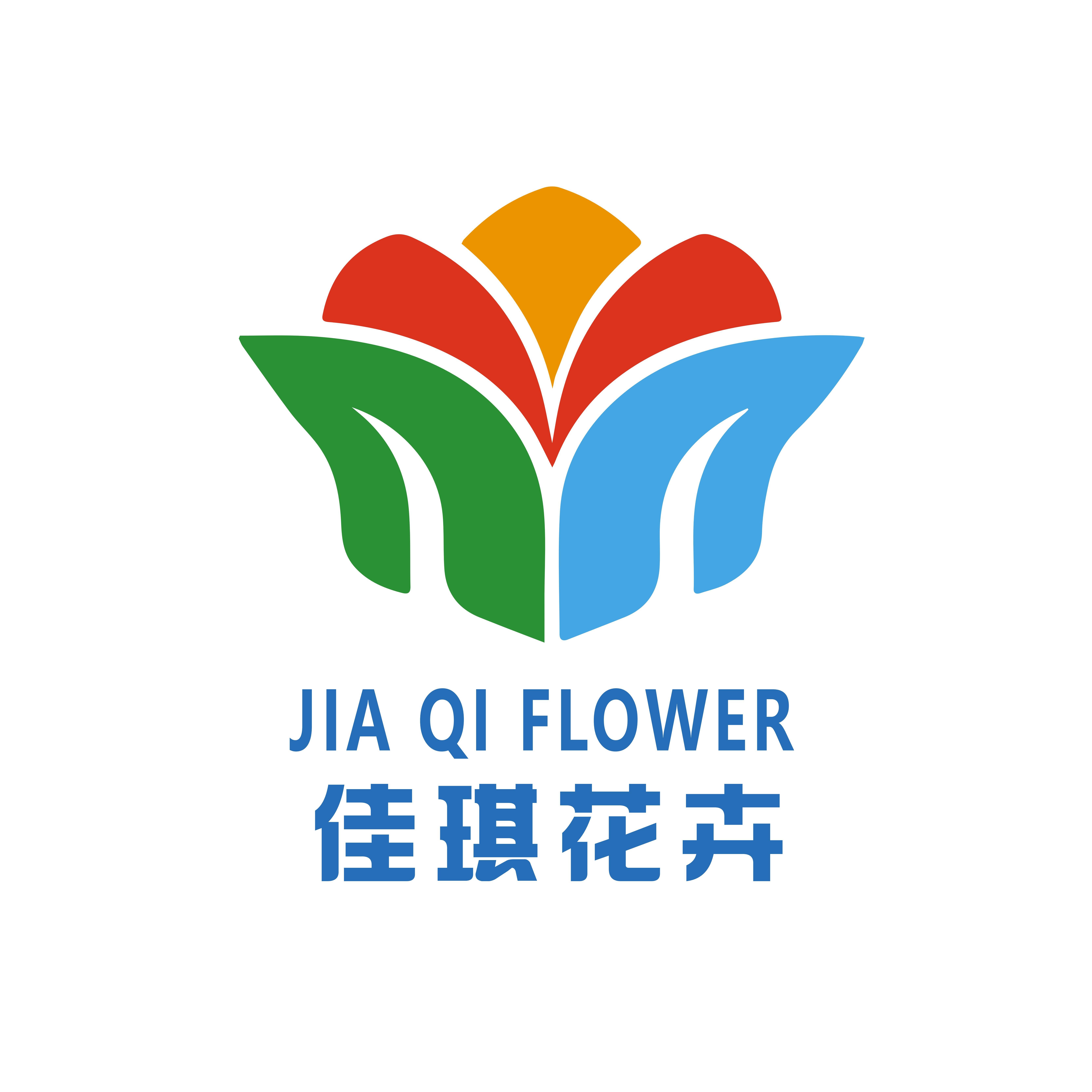 云南佳琪花卉鲜花批发