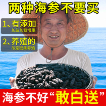 Old Wu Dalian Wild Sea Cucumber Dry Goods 50g Flagship Store Light Dry Liao Exhibi Box Heisei Non Ready-to-eat