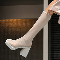 Small sub ultra high heel long boot female summer white high cylinder mesh boot hollowed-out long cylinder boot coarse heel thick undernet yarn cool boots