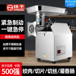 Yangzi Meat Grinder Commercial Vertical Stainless Steel Electric High-Power Multi-Functional Household Minced Stuffing Sausage Minced Meat Machine