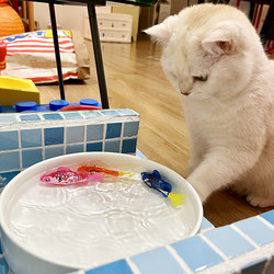 Cat Toy Self-Pleasure and Boredom Relief Artifact Luminous Artificial Clown Fish Can Swim and Amuse Cats Electric Small Fish Digital Sensor Fish