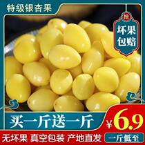 Ginkgo and ginkgo fresh kernels shelled and vacuum packed ginkgo core Pizhou specialty special grade happy ginkgo dry goods